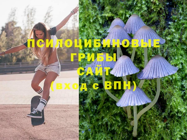 мет Верхний Тагил